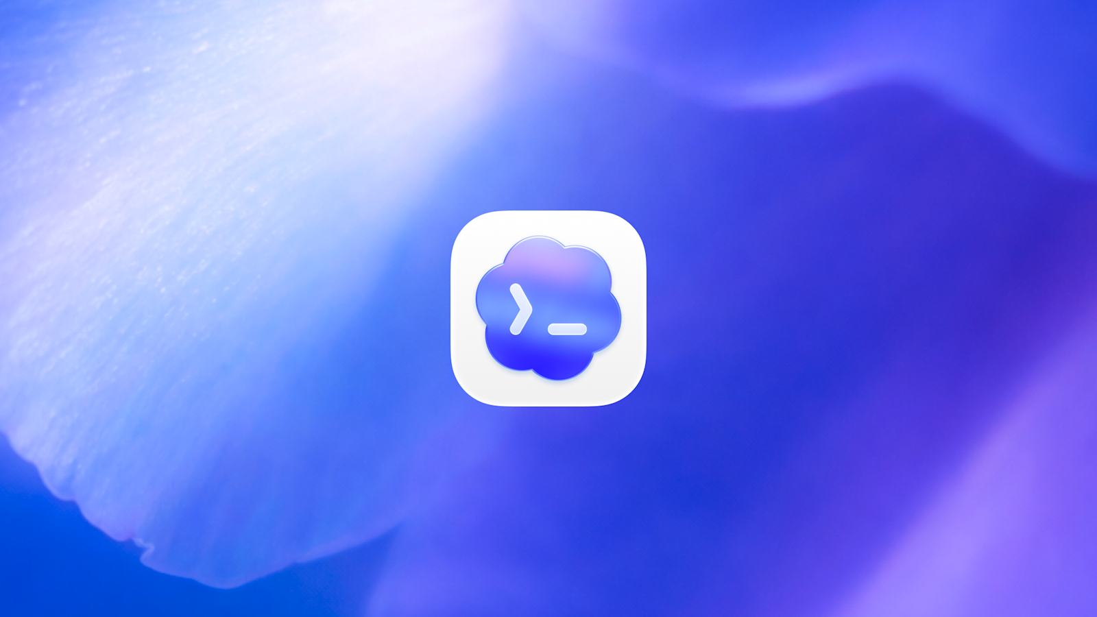 codex-banner